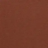 Rust - cod 18021